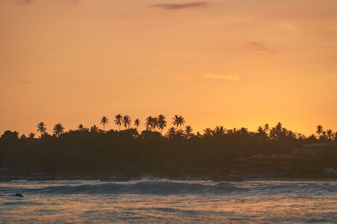 Hostel Layback Boutique Surf & Yoga Camp Sri Lanka Weligama Exteriér fotografie