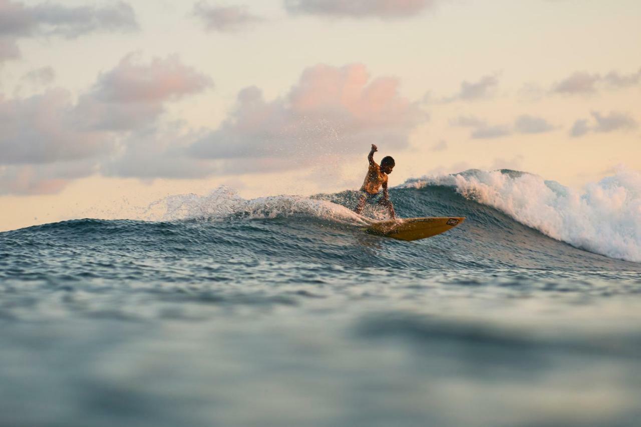 Hostel Layback Boutique Surf & Yoga Camp Sri Lanka Weligama Exteriér fotografie